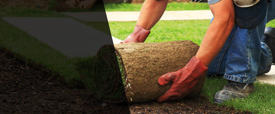 Cornelius Landscapers